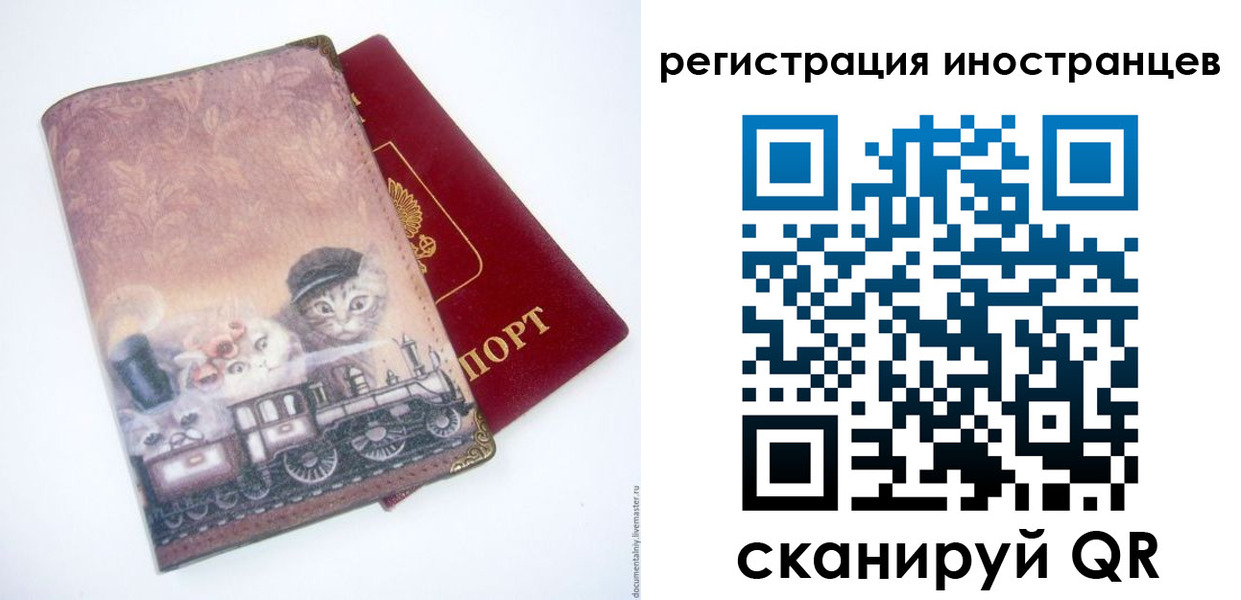 пропишу в квартире в Светлогорске
